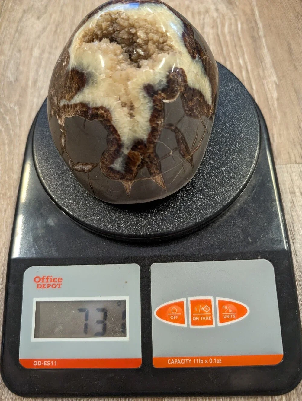 Large Septarian Nodule Stone Polished Crystal Filled